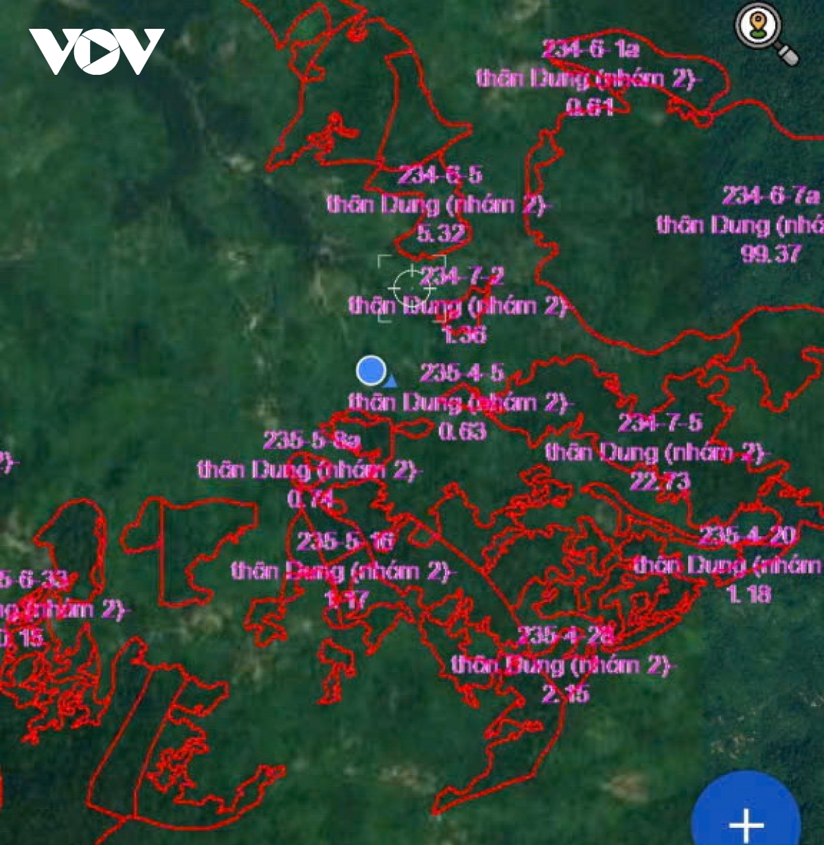 Quảng Nam: Xanh lại những cánh rừng